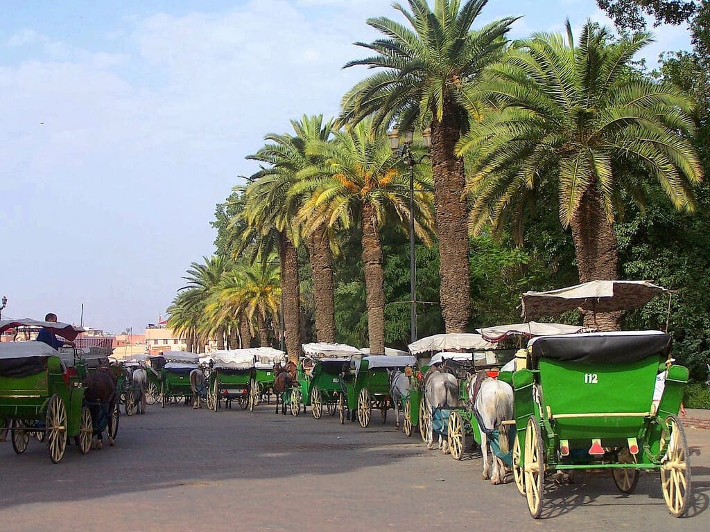 Marrakech incoming travel agency